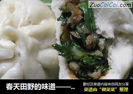 春天田野的味道——野香芥菜肉包