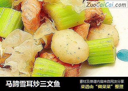 马蹄雪耳炒三文鱼