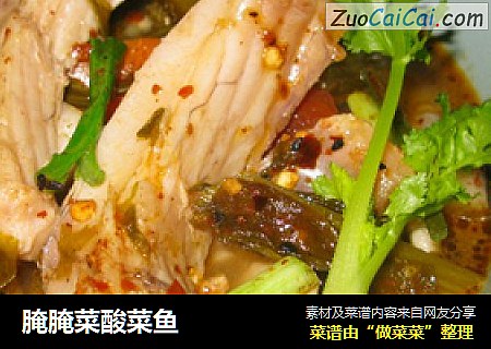 腌腌菜酸菜鱼