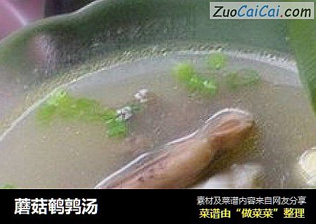 蘑菇鹌鹑汤