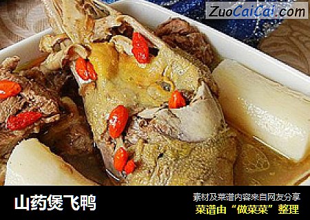 山药煲飞鸭