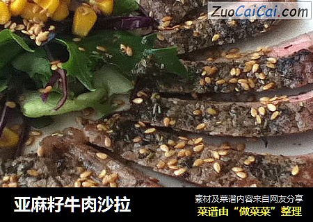 亚麻籽牛肉沙拉