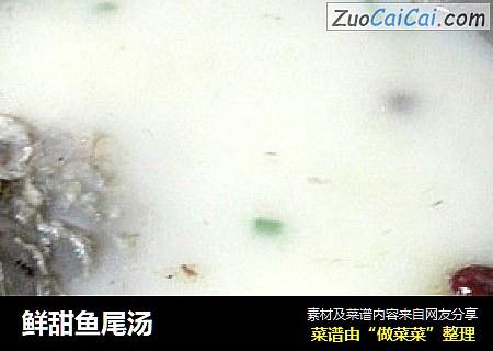 鲜甜鱼尾汤