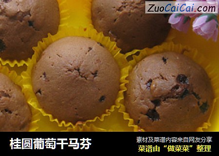 桂圆葡萄干马芬