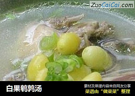 白果鹌鹑汤