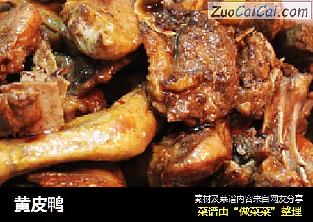 黄皮鸭