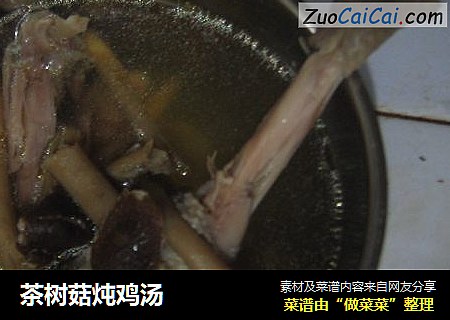 茶树菇炖鸡汤