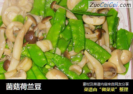 菌菇荷兰豆