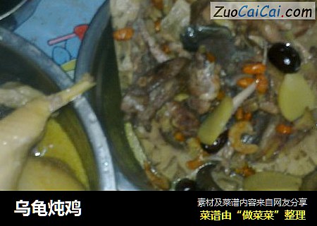 乌龟炖鸡