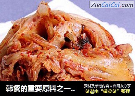 韩餐的重要原料之一“辣白菜”