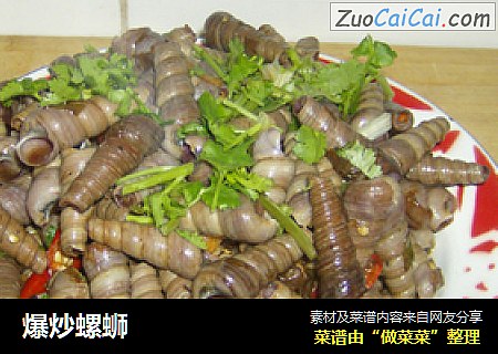 爆炒螺蛳