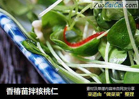 香椿苗拌核桃仁