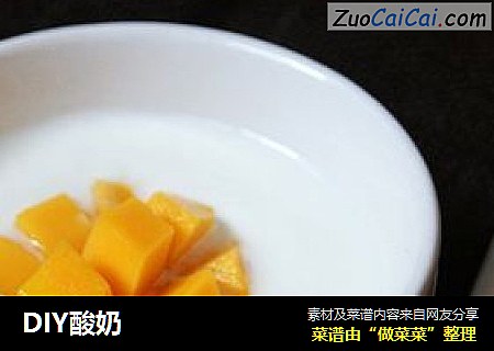 DIY酸奶
