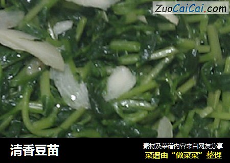 清香豆苗