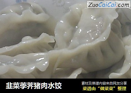 韭菜荸荠猪肉水饺