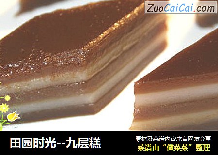 田园时光--九层糕