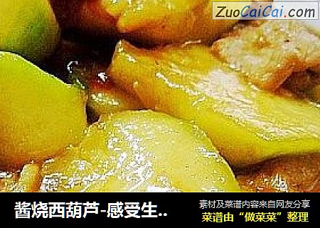 酱烧西葫芦-感受生活的点点滴滴