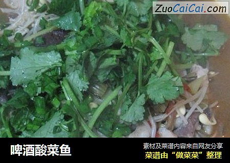 啤酒酸菜鱼