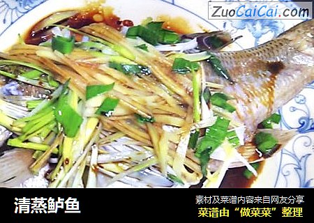清蒸鲈鱼