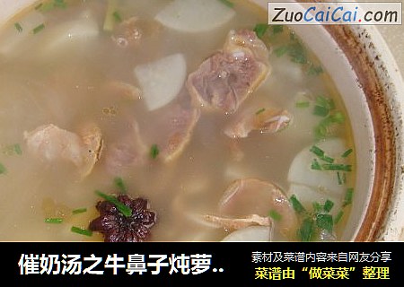 催奶汤之牛鼻子炖萝卜汤
