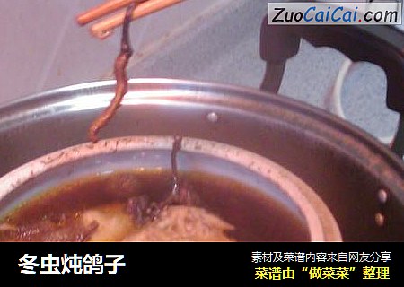 冬虫炖鸽子