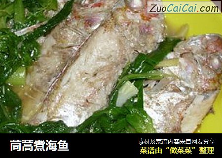 茼蒿煮海鱼
