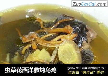 虫草花西洋参炖乌鸡