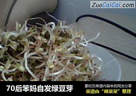70后笨妈自发绿豆芽