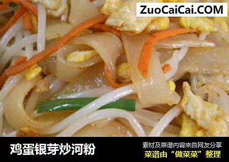 鸡蛋银芽炒河粉