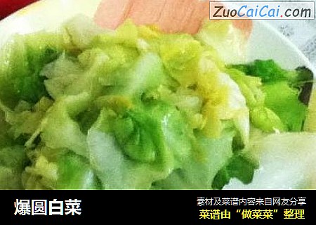 爆圆白菜