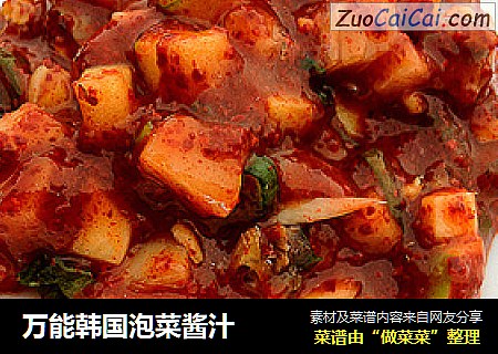 万能韩国泡菜酱汁
