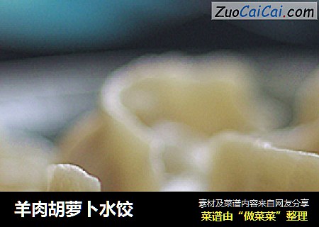 羊肉胡萝卜水饺