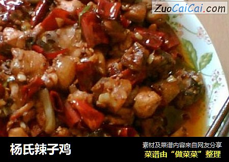 杨氏辣子鸡
