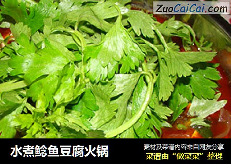 水煮鲶鱼豆腐火锅
