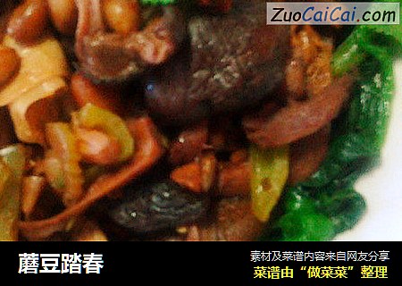 蘑豆踏春