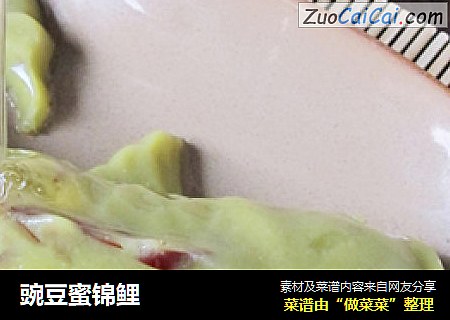 豌豆蜜锦鲤
