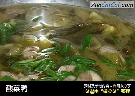 酸菜鸭