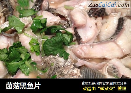菌菇黑鱼片