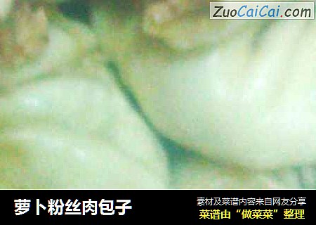 萝卜粉丝肉包子