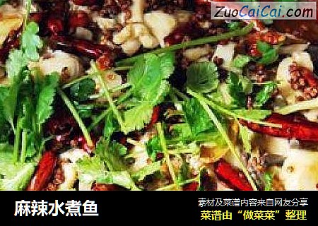 麻辣水煮鱼