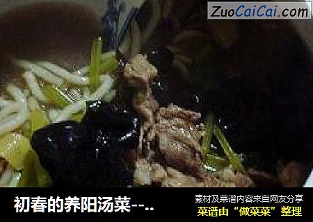 初春的养阳汤菜------酸汤羊肉
