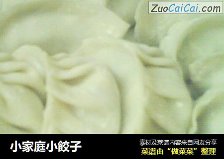 小家庭小餃子