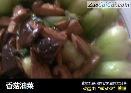 香菇油菜