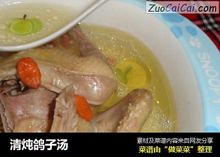 清炖鸽子汤