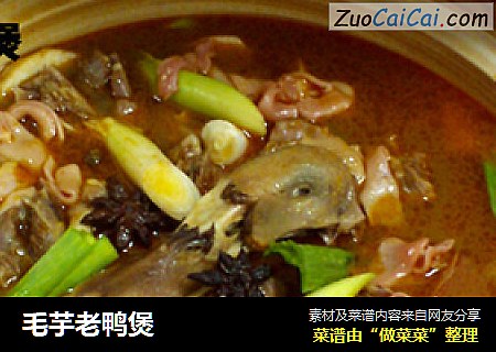 毛芋老鸭煲