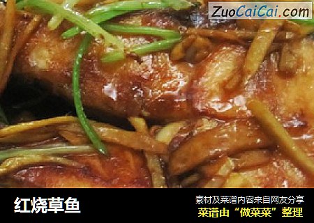 红烧草鱼