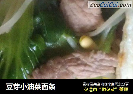 豆芽小油菜面条