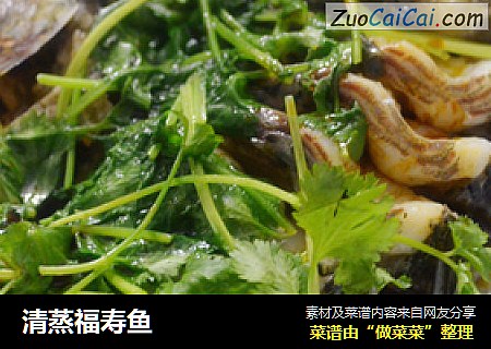 清蒸福寿鱼