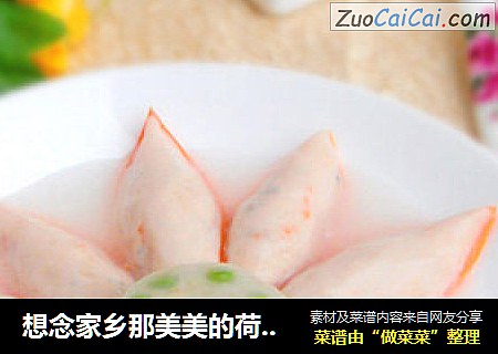 想念家乡那美美的荷塘----鱼虾醉荷花
