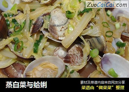 蒸白菜与蛤蜊